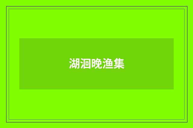 湖洄晚渔集