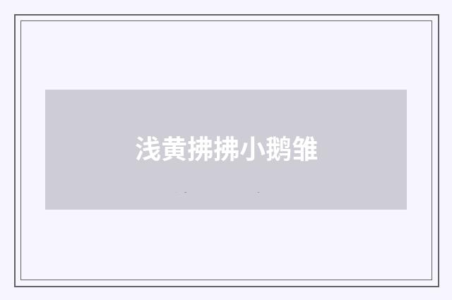 浅黄拂拂小鹅雏
