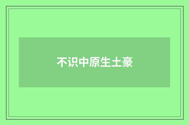 不识中原生土豪
