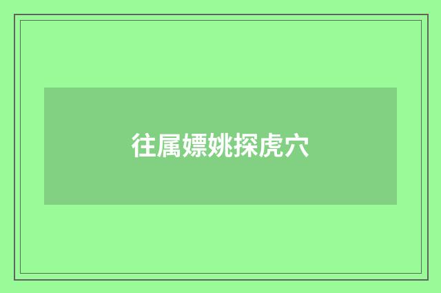 往属嫖姚探虎穴