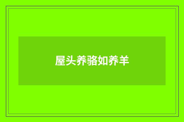 屋头养骆如养羊