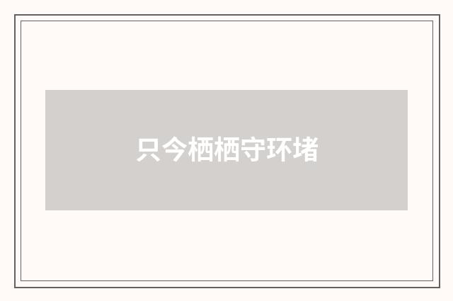 只今栖栖守环堵