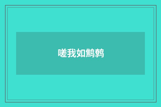 嗟我如鹪鹩