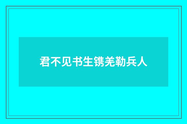 君不见书生镌羌勒兵人