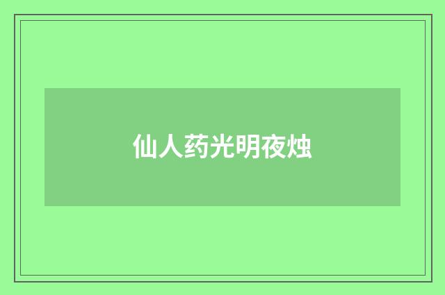 仙人药光明夜烛