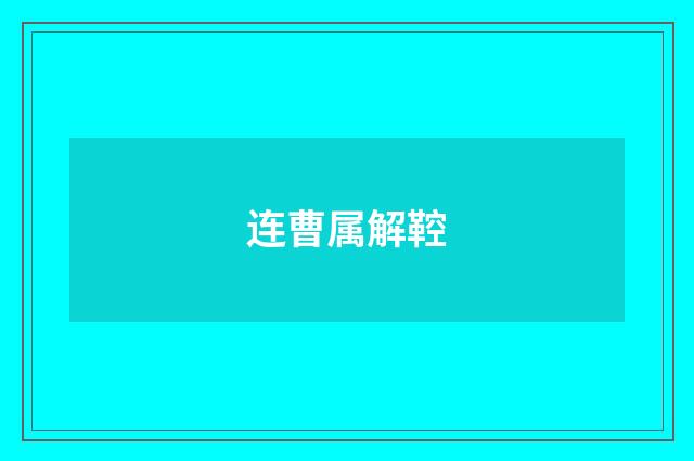 连曹属解鞚