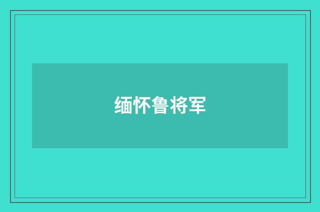 缅怀鲁将军