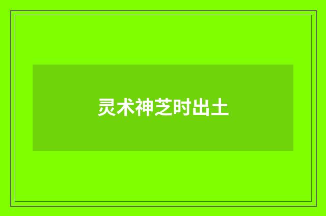灵术神芝时出土