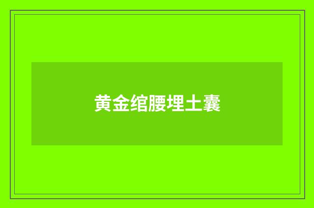 黄金绾腰埋土囊