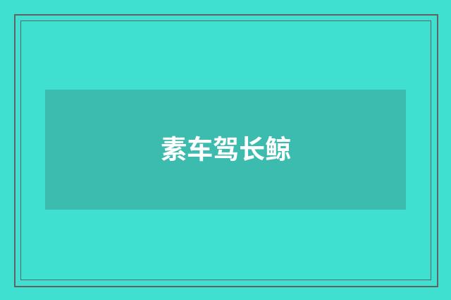 素车驾长鲸
