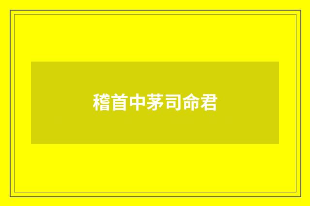 稽首中茅司命君