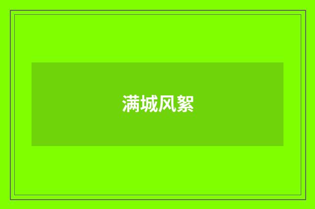 满城风絮