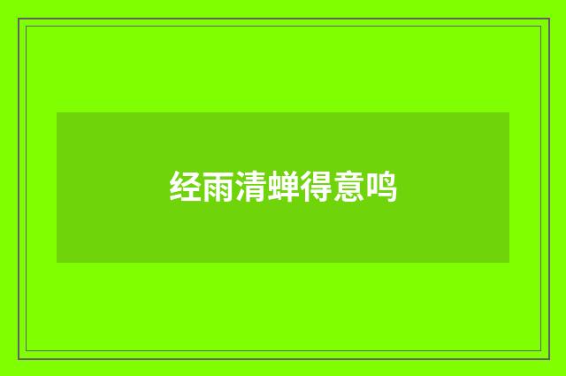 经雨清蝉得意鸣