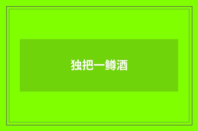 独把一鳟酒