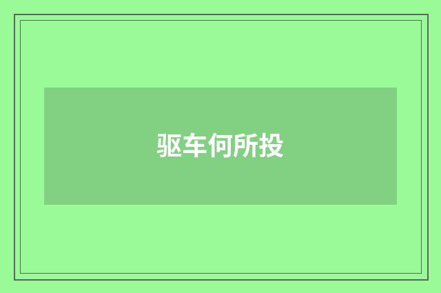 驱车何所投