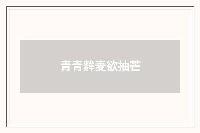 青青麰麦欲抽芒