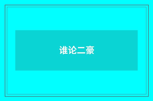 谁论二豪