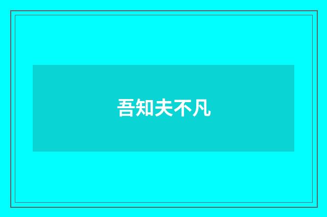 吾知夫不凡