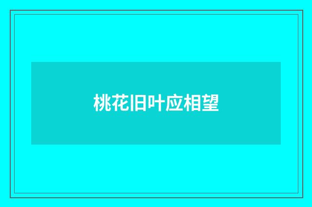 桃花旧叶应相望
