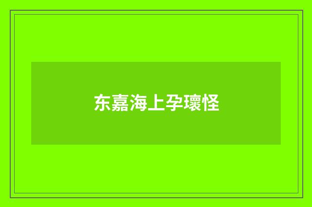 东嘉海上孕瓌怪