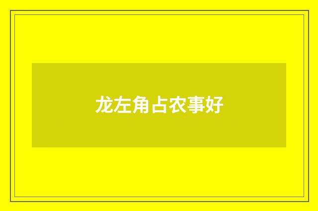 龙左角占农事好