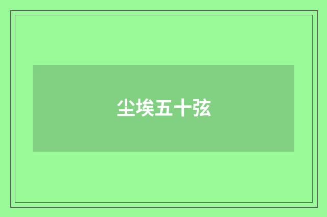 尘埃五十弦