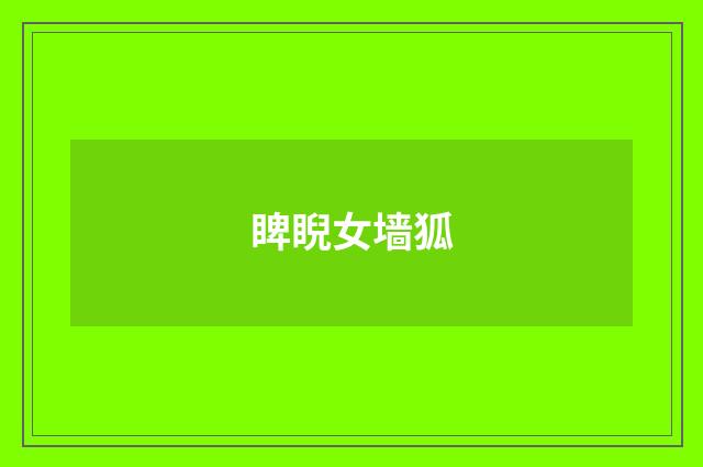 睥睨女墙狐
