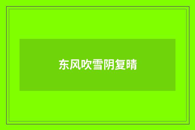 东风吹雪阴复晴