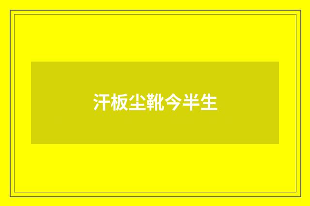 汗板尘靴今半生