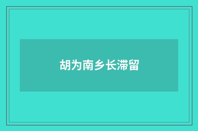 胡为南乡长滞留
