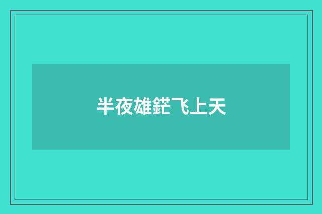 半夜雄鋩飞上天