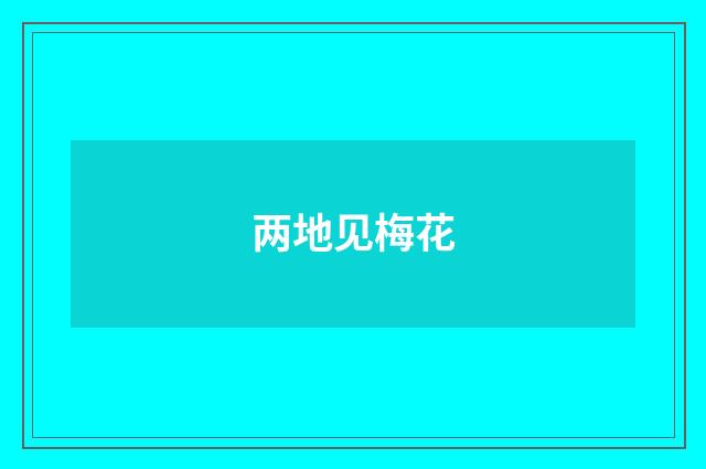 两地见梅花