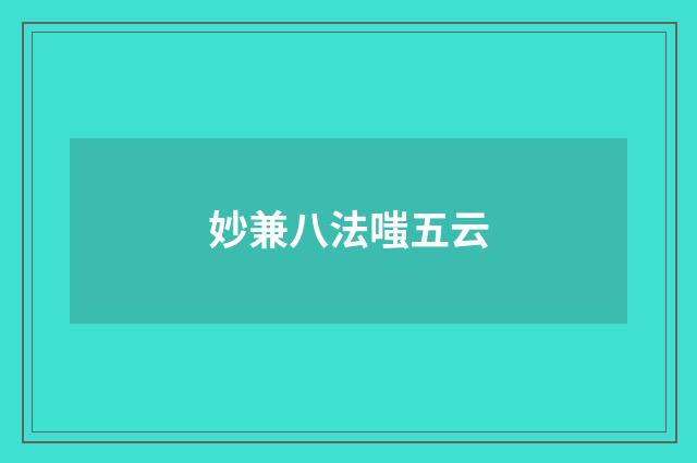 妙兼八法嗤五云