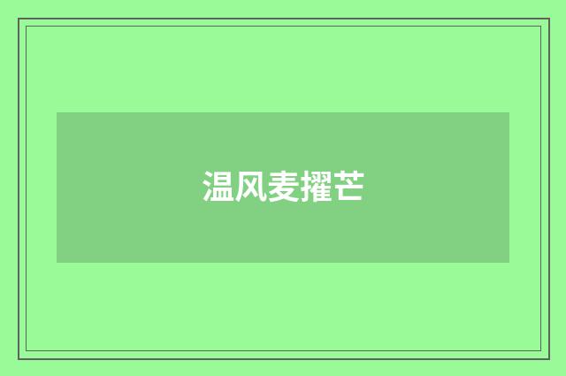 温风麦擢芒