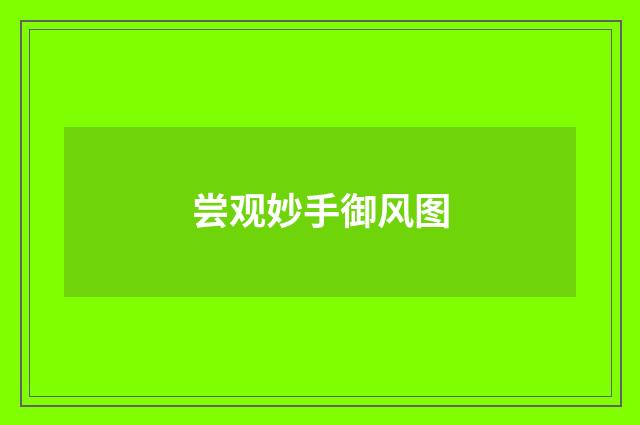 尝观妙手御风图