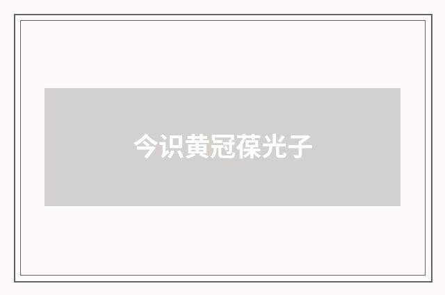 今识黄冠葆光子