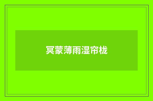 冥蒙薄雨湿帘栊