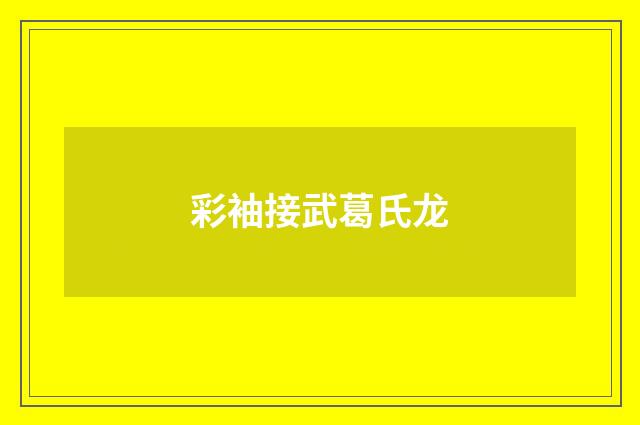 彩袖接武葛氏龙