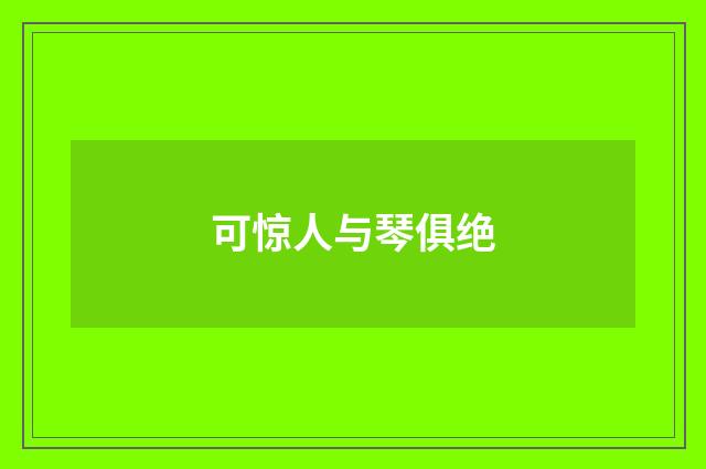 可惊人与琴俱绝