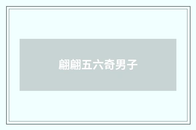 翩翩五六奇男子