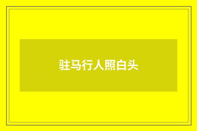 驻马行人照白头