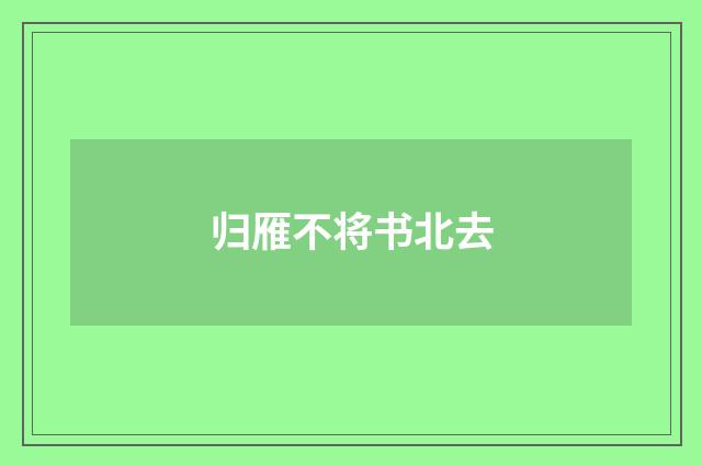 归雁不将书北去