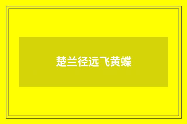 楚兰径远飞黄蝶