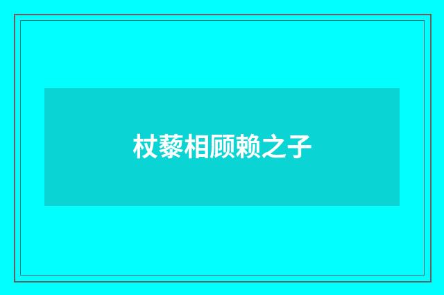 杖藜相顾赖之子