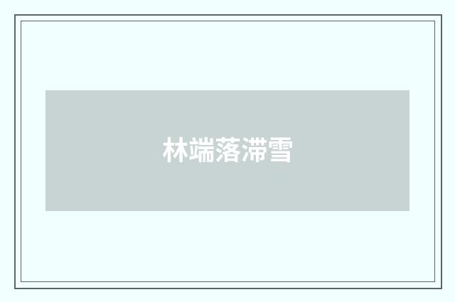 林端落滞雪