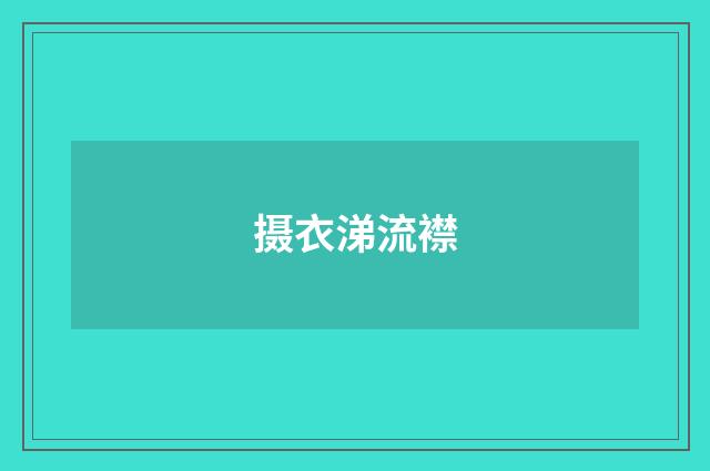 摄衣涕流襟