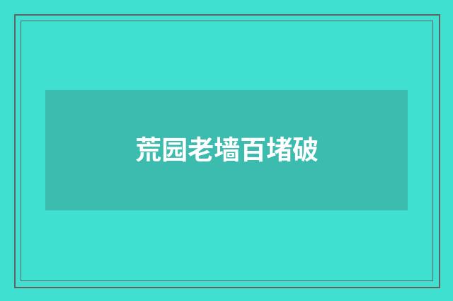 荒园老墙百堵破