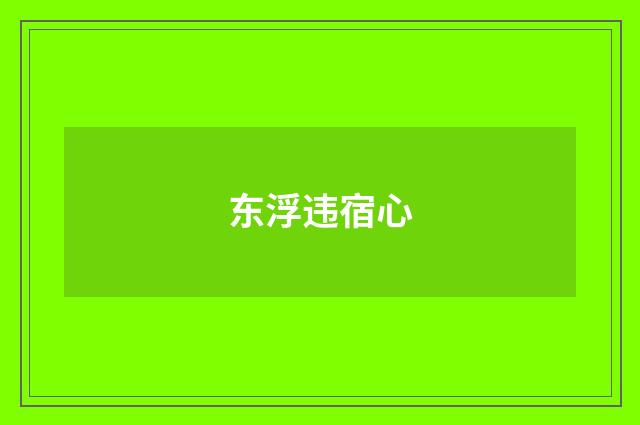 东浮违宿心
