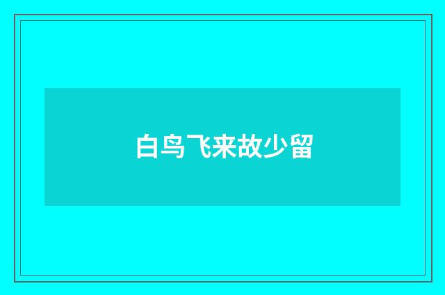 白鸟飞来故少留