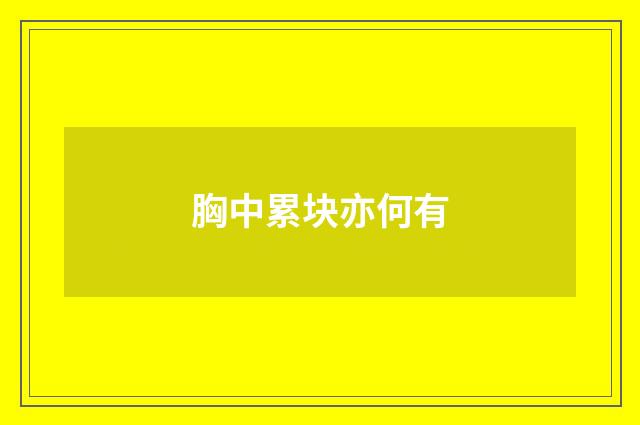 胸中累块亦何有